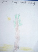 Kid’s Art of One Seed