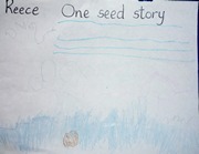 Kid’s Art of One Seed