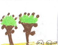Kid’s Art of One Seed