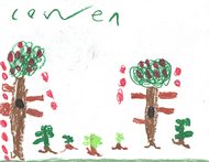 Kid’s Art of One Seed